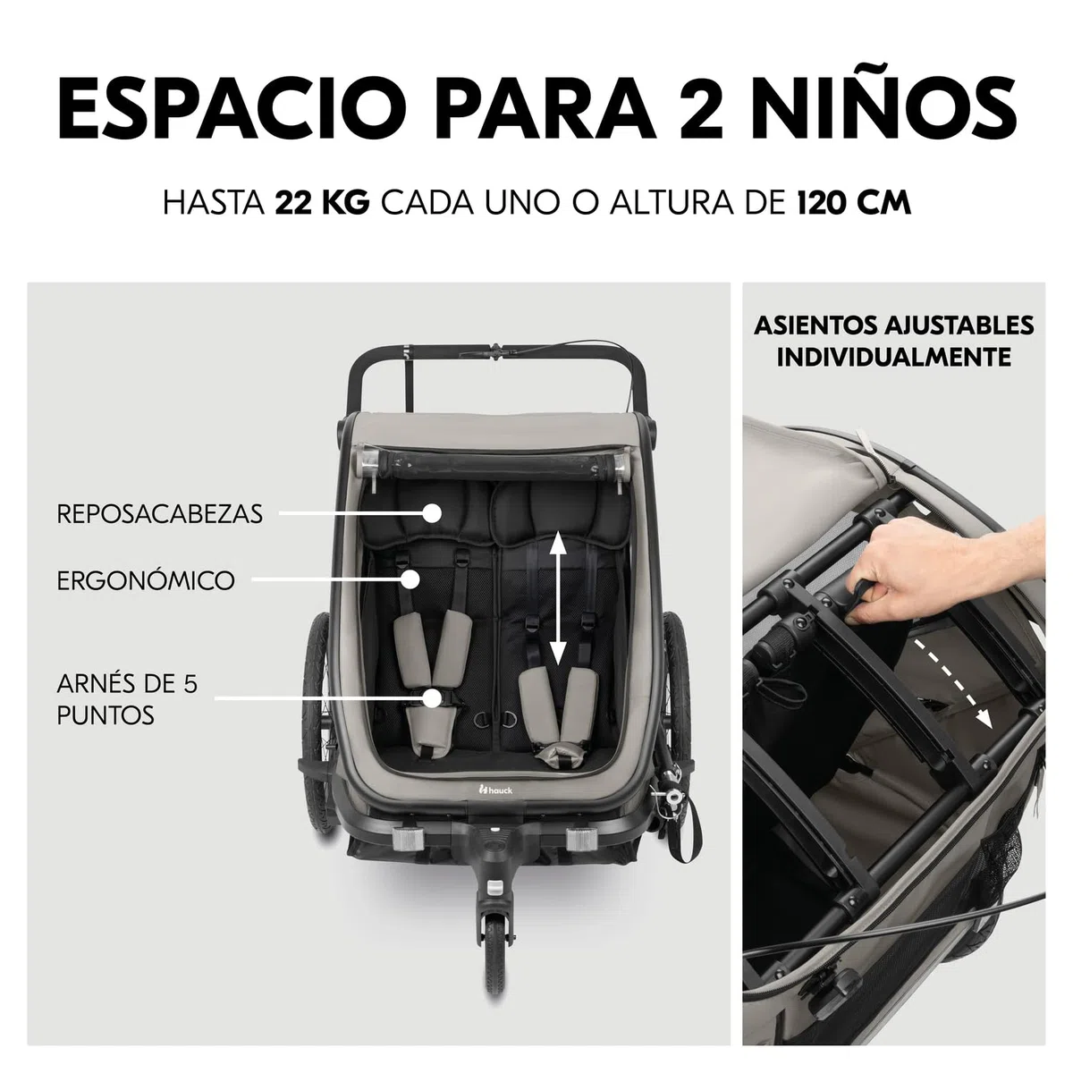 hauck Bike N Walk Duo Set Completo 3 en 1 Remolque Bicicleta 2 Niños - Silla de Paseo Doble Plegable Desde 6 Meses hasta 22 kg o 120 cm - Suspensión - Freno de Mano - Maletero - Gris Claro