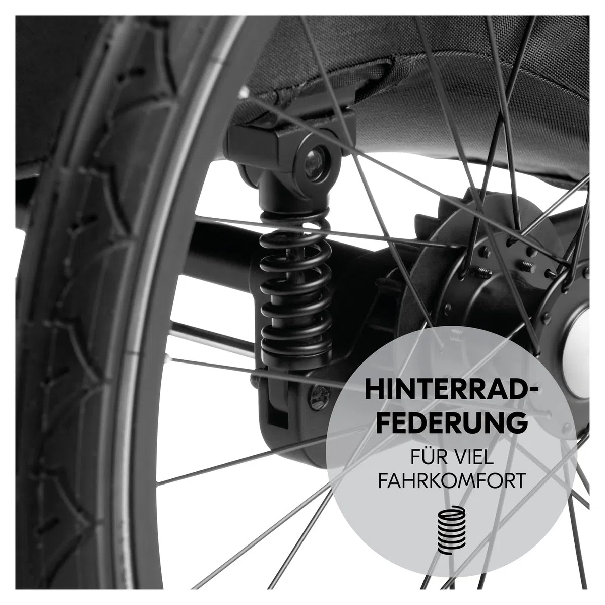 Hauck Dryk Duo Plus - Remolque de bicicleta y cochecito para 2 niños (6-48 meses), incluye protección contra la lluvia, toldo, barra de remolque, rueda de buggy, bandera y luz LED, color negro